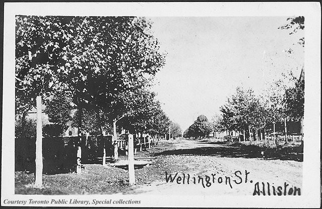 Alliston St Wellington